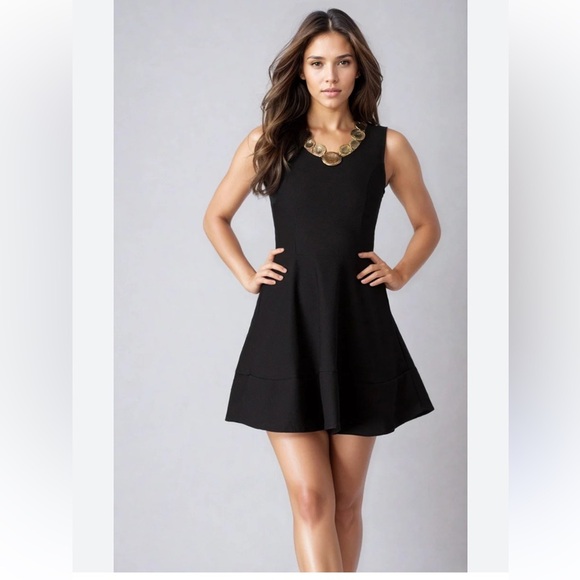 Cynthia Rowley Elegant Black Mini Fit and Flare Dress XS - Picture 1 of 9